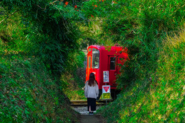 森のトンネルの先を通過する列車