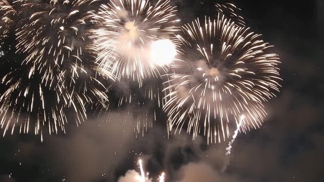 Beautiful fireworks exploding in the night sky with smoke and sparks flying everywhere freely  a stunning festive display