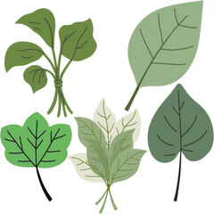 A vector graphic illustration of various green leaves on a white background