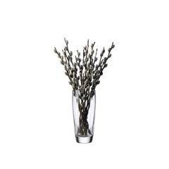 Fototapeta premium Pussy willow branches in a glass vase