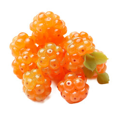 Cloudberry berries isolated on white or transparent background, png clipart, design element. Easy to place on any other background.