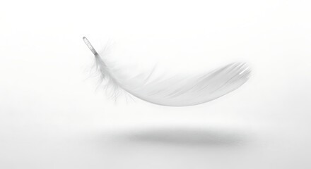 Single soft white feather gently floating on a clean bright background