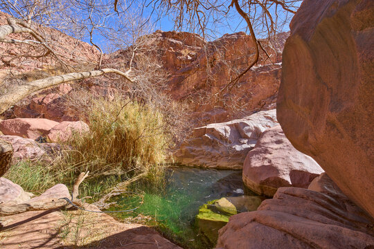 A permanent water pool Galt el Azraq between granite rose-colored rocks in highlands of Sinai, Egypt. Turquoise water of the pool. Vacation and hiking in the national park Saint Katherine Protectorate