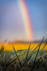 Regenbogen &uuml;ber der Wiese