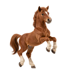 Majestic Horse in Dynamic Pose