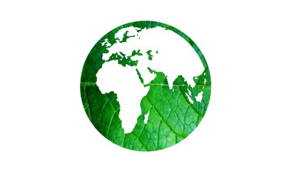 Obraz premium Green leaf leaves or purpurata leaf background.