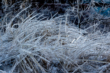 In der eisigen D&uuml;ne