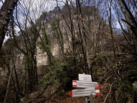Segnaletica escursionistica in bosco invernale con diramazioni di sentieri e parete rocciosa sullo sfondo