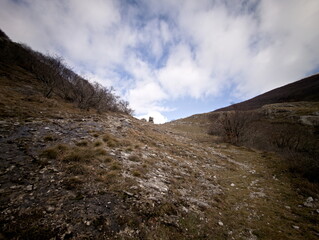 Paesaggio montano con alberi spogli, conifere verdi e luce sulle pendici
