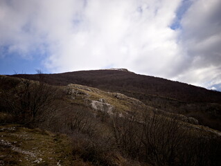 Paesaggio montano con alberi spogli, conifere verdi e luce sulle pendici