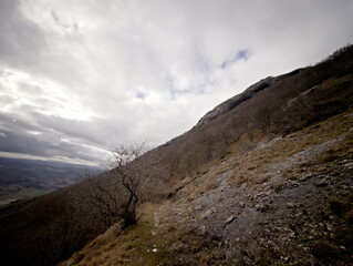 Paesaggio montano con alberi spogli, conifere verdi e luce sulle pendici