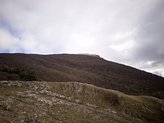 Paesaggio montano con alberi spogli, conifere verdi e luce sulle pendici