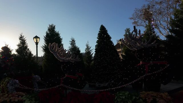 &Aacute;rboles de pino decorados con adornos navide&ntilde;os en exterior durante d&iacute;a despejado