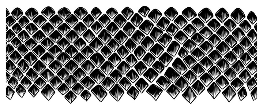 Stylized hand drawn pattern of overlapping dragon scales or fish skin texture