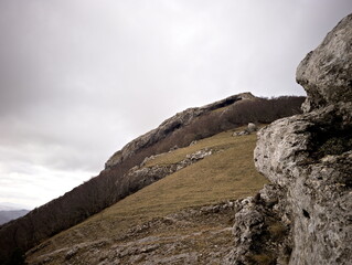 Paesaggio montano con alberi spogli, conifere verdi e luce sulle pendici