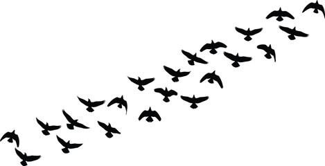 Fototapeta premium Flying bird silhouettes in diagonal formation, flock migration concept, black birds freedom symbol, minimalist nature vector illustration