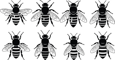 Bee silhouettes set, honeybee insect collection, pollinator wildlife illustration, flying winged bugs, nature ecology design bundle © Jisan World
