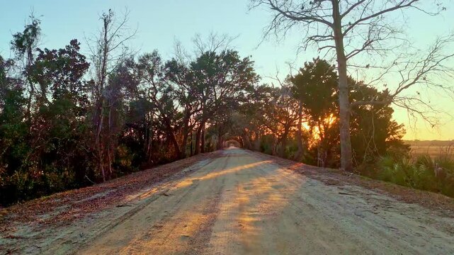Dirt road lined with trees at sunset in a quiet area with fading light