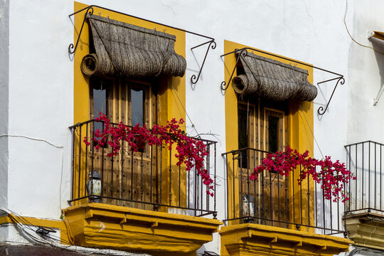 Traditional Andalusian Balconies in Jerez de la Frontera Spain with Bougainvillea and Esparto Grass Blinds