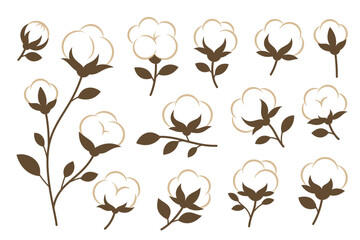 Cotton plants set. Elegant vector floral element perfect for eco designs and botanical compositions