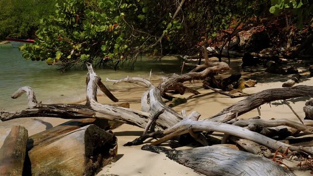 spokojny brzeg na tropikalnej wyspie i delikatnie rozbijające się fale morza 