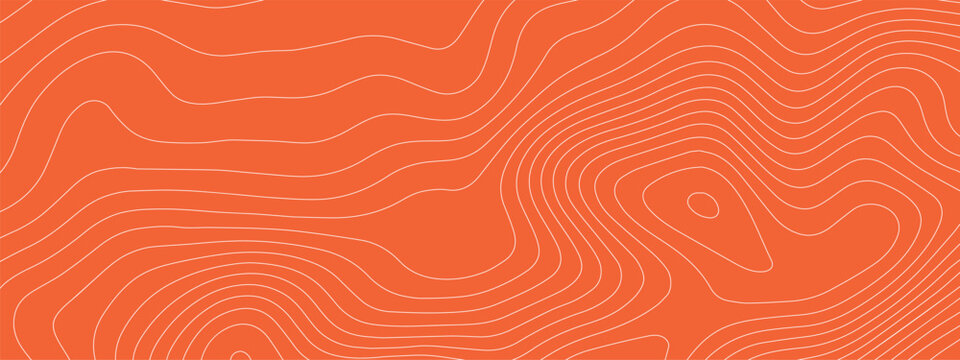 Salmon tuna bg with sushi meat fish and pattern texture abstract. Peach background gradient with illustration salmon japanese and outline healthy skin. Fresh wave salmon with seafood orange sushi.