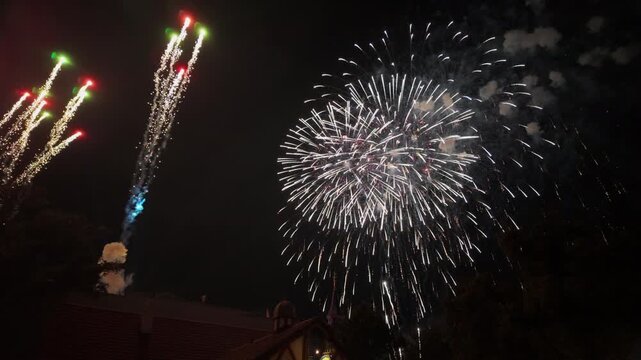 Fuegos artificiales iluminando el cielo nocturno durante celebraci&oacute;n festiva