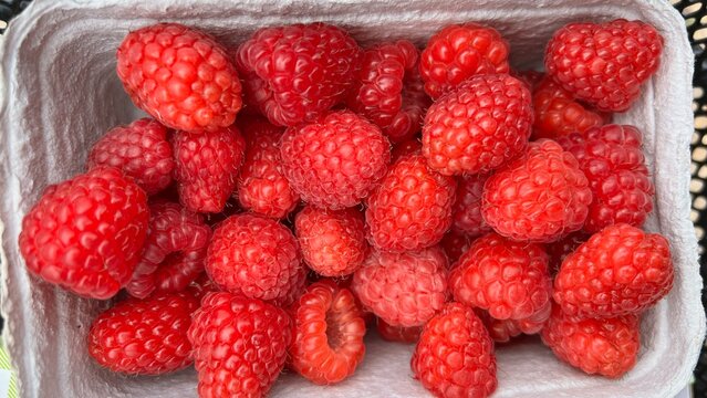 Fresh ripe raspberries close up