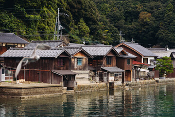 Obraz premium Ine Fishing Village, Kyoto prefecture, Japan, Ine-ura landscape coastal view, Funaya, traditional wooden boat houses, Ine Bay during boat tour cruise, Yoza District, in a autumn fall day