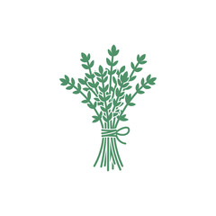 Flat Vector Illustration of Thyme Bunch Tied with String on White Background