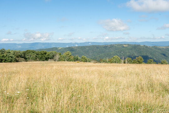 an open grass meadow at the top of an Appalachian mountain top with nothing but blue ridges in the distance