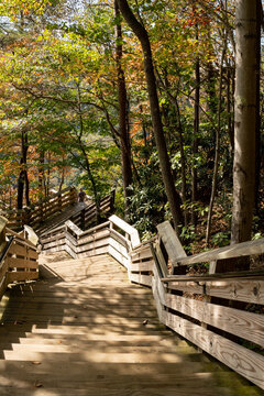 long wooden staircase with handrail along multiple vertical flights up a steel wooden hillside looks like a physically daunting climb