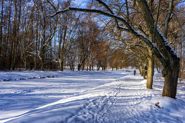 Ogrody pałacowe w Choroszczy zimą, Podlasie, Polska © podlaski49