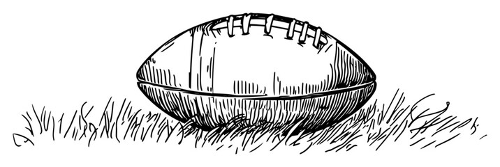 american football ball lying on grass