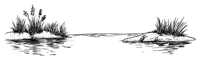 hand drawn pond with reeds sketch illustration © Kaz