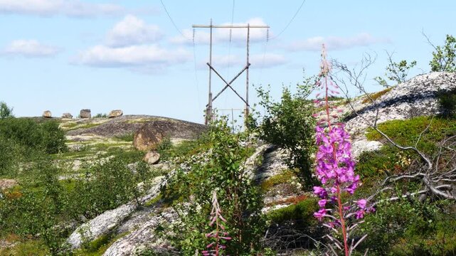 Old wooden poles of a power line in the rocky mountain tundra on a bright sunny summer day.