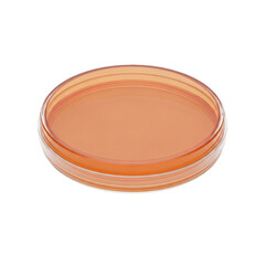 A simple round ceramic plate displayed against a plain background