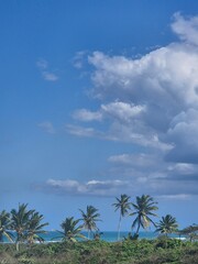 Naklejka premium Tropical beach landscape with palm trees and blue sky