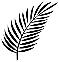 Obraz premium Minimalist Black Silhouette of a Palm Frond Against White