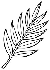 Fototapeta premium Outline of a botanical palm leaf branch