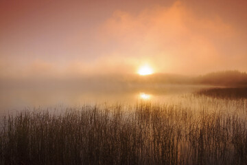 Obraz premium autumn, Isbister Lake, Porcupine Hills Provincial Park, Saskatchewan, Canada
