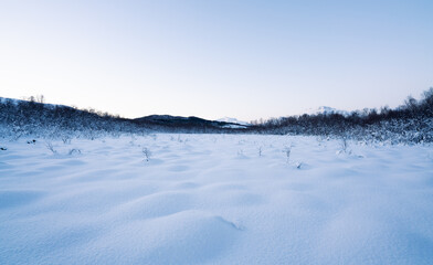 Obraz premium Open, snow covered landscape with soft polar light in the norwegian arctic