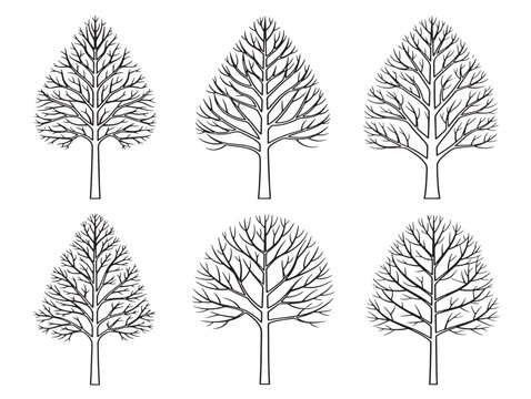 Abstract roots kit with artistic botanical line forms