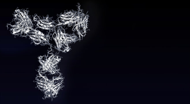 Immunoglobulin G (IgG) antibody molecular structure of 1HZH protein with atoms on dark background with copy space. 3D render, illustration