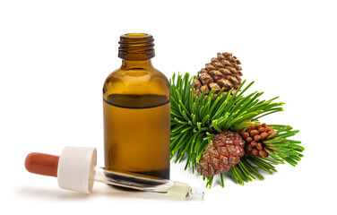 Pine essential oil in glass bottle with dropper, Pinus mugo isolated on white background