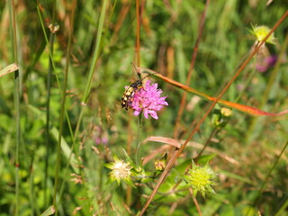 Žumberak &ndash; Samoborsko gorje Nature Park (Samobor, Croatia)