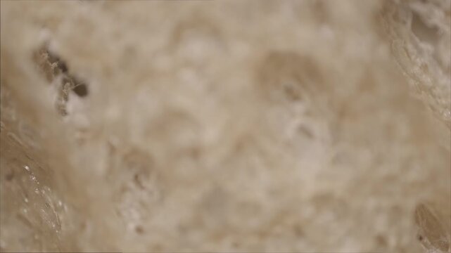 Macro image of bread surface texture captured via microscope objective at 2.4&times; magnification with 15 mm field of view. Porous crumb structure and naturally developed surface