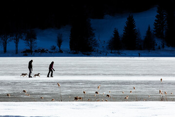 silhouette of an ice skater with dogs on a frozen lake in winter