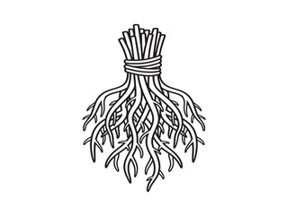 Botanical roots bundle with elegant line art design