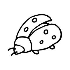 Ladybug, simple black and white doodle vector hand drawn isolated. © Olga